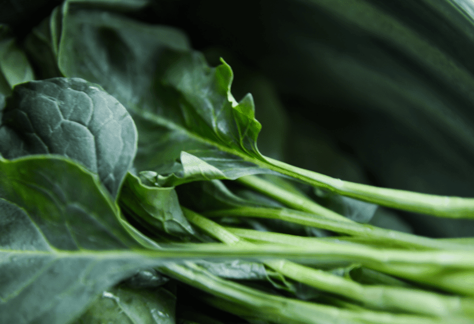 can rabbits eat collard greens