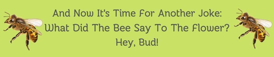 Bee joke