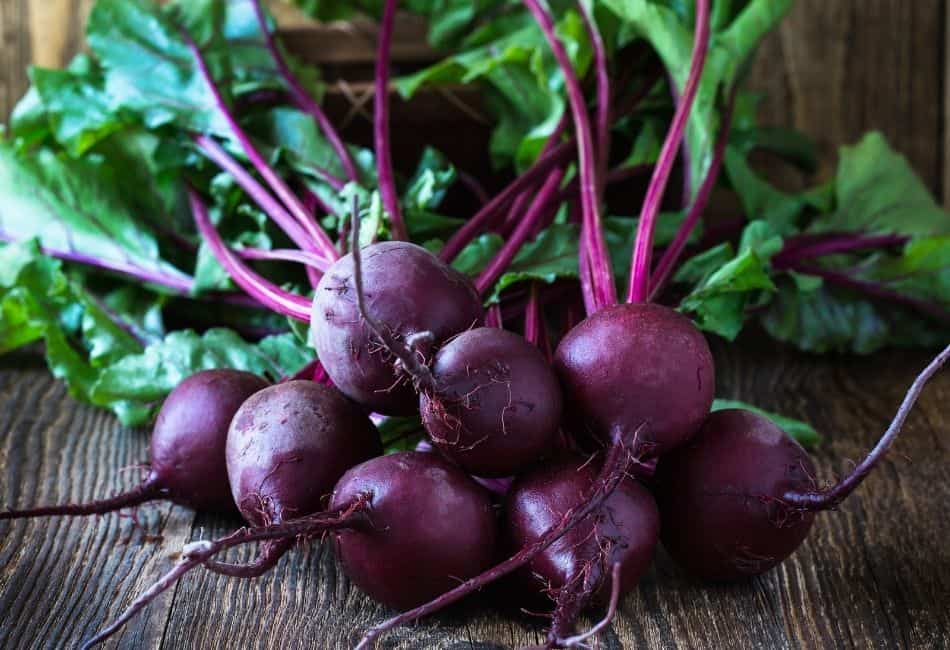 can dogs eat beets raw