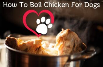 How To Boil Chicken For Dogs