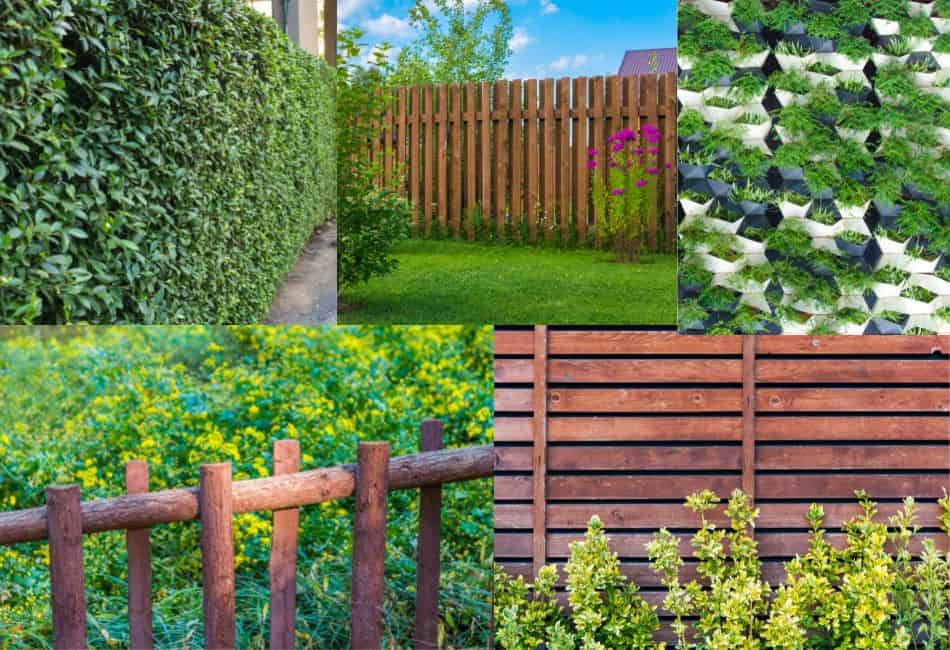 Cheap Ways to Block Neighbors View: Guide To Living Dividers & Vertical Gardens