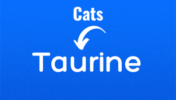 Taurine for Cats