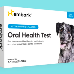 Oral Health Test